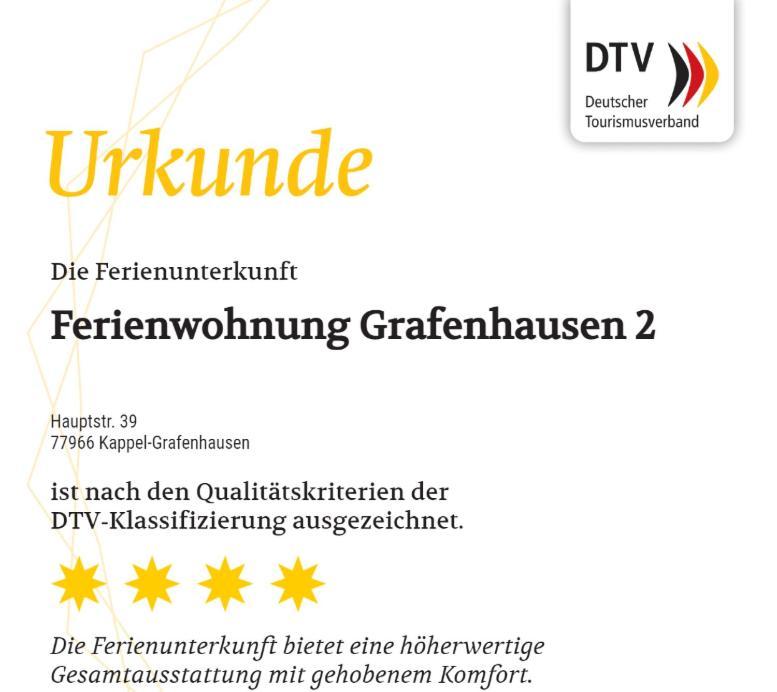 Апартаменты Fewo Grafenhausen 2 Каппель-Графенхаузен Экстерьер фото